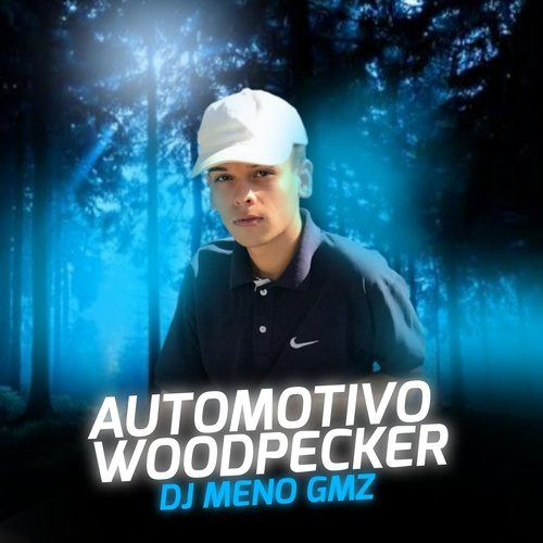 Automotivo Woodpecker_poster_image