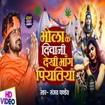 Bhola Ke Diwani Dekhi Bhang Piyatiya