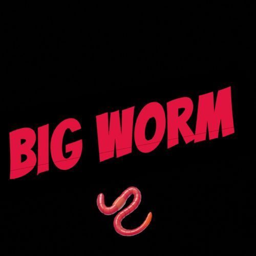 Big worm cover art