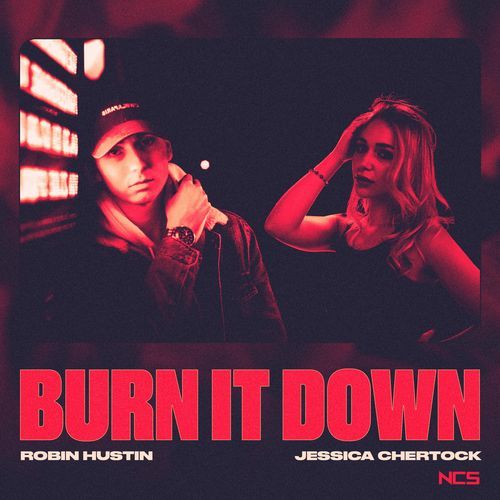 Burn It Down_poster_image