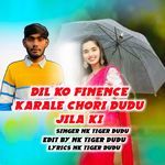 Dil Ko Finence Karale Chori Dudu Jila Ki