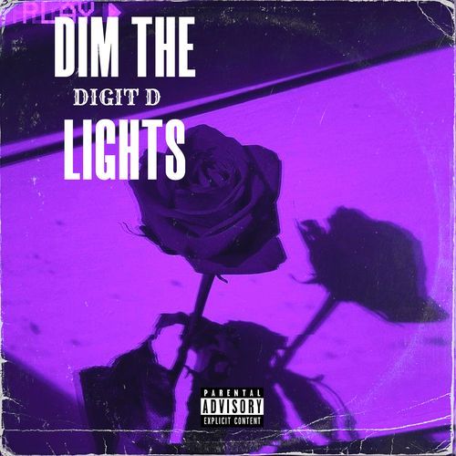 Dim the Lights_poster_image