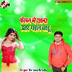 Gori bigad deb haliya