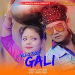 Gelo Tor Gali