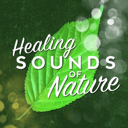 Healing Sounds of Nature_poster_image