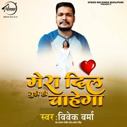 Mera Dil Tujhe Hi Chahega-SSleZ0V1fAE