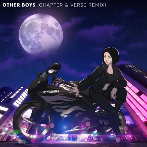 Other Boys (Chapter &amp; Verse Remix)_poster_image