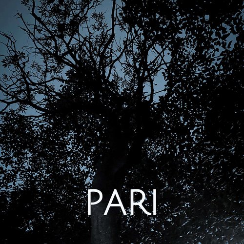 Pari