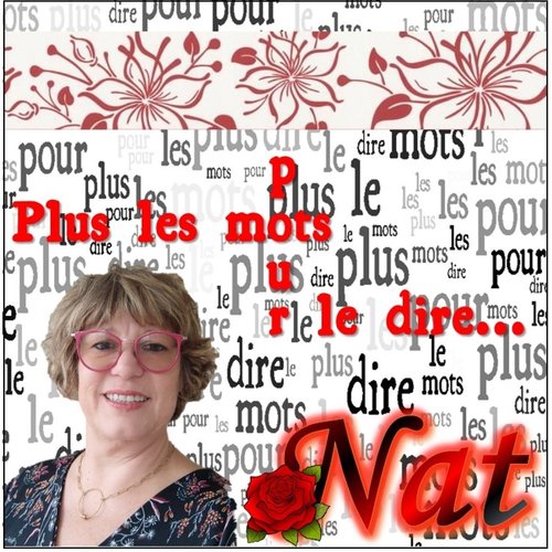 Plus les mots pour le dire_poster_image