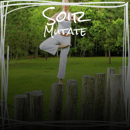Steadfast Revolutionizing cover art