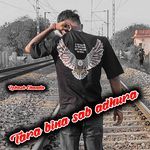 Tara bina sab adhura