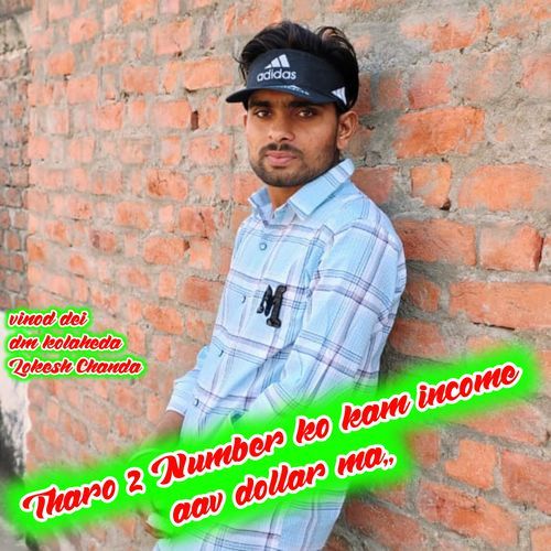 Tharo 2 Number ko kam income aav dollar ma