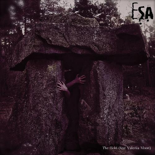 The Hold (iVardensphere Remix) cover art