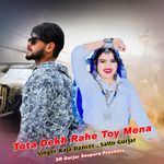 Tota Dekh Rahe Toy Mena