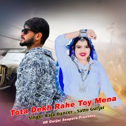 Tota Dekh Rahe Toy Mena