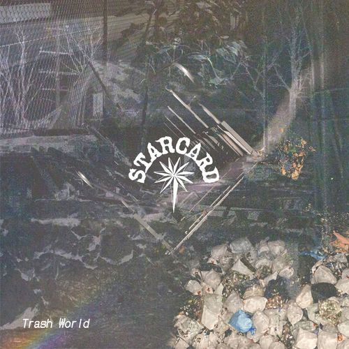 Project the Pabst cover art