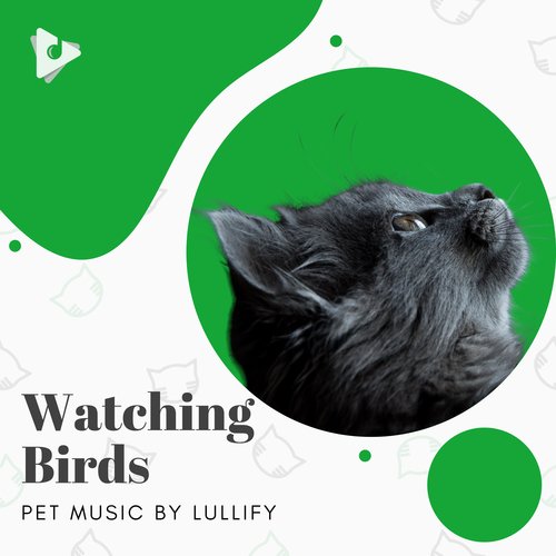 Ok But Pet Me cover art