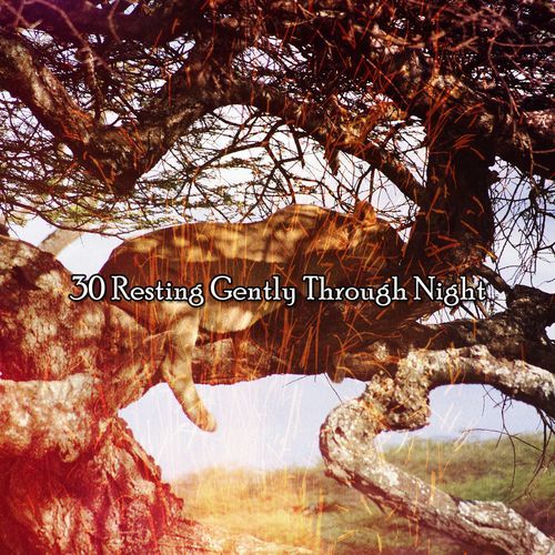 30 Resting Gently Through Night_poster_image