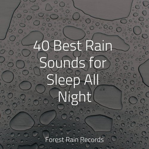 Soothing Ocean Sounds cover art