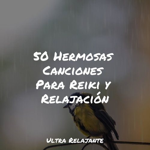 50 Hermosas Canciones Para Reiki y Relajación_poster_image