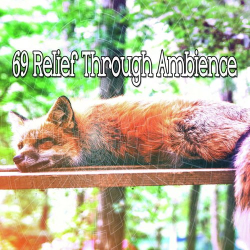 69 Relief Through Ambience