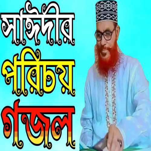 Allama Sayeedi