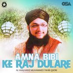 Amna Bibi Ke Raj Dulare