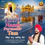 Amrit Naam Parmesar Tera