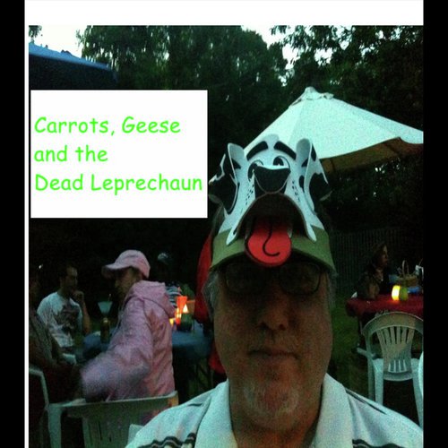 Career Into cover art