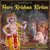 Hare Krishna Kirtan (Live)