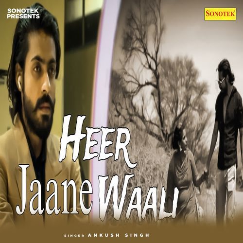Heer Jaane Wali