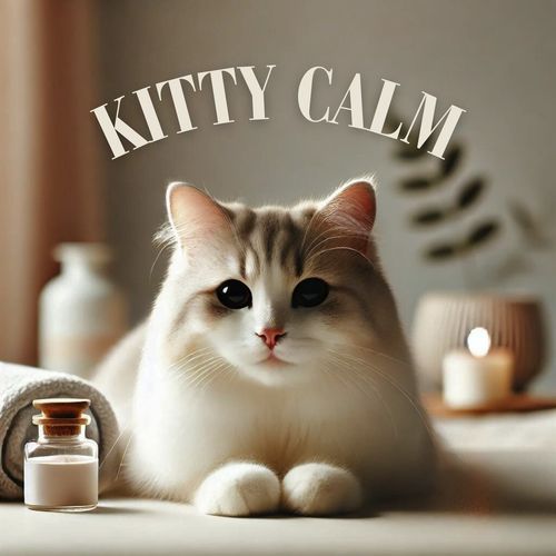 Kitty Calm: Soothing Wellness_poster_image