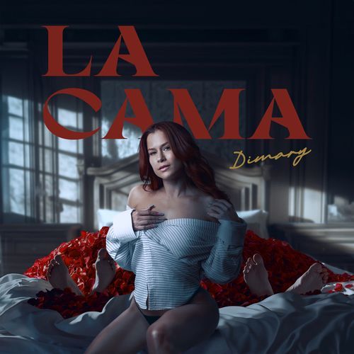 La Cama_poster_image