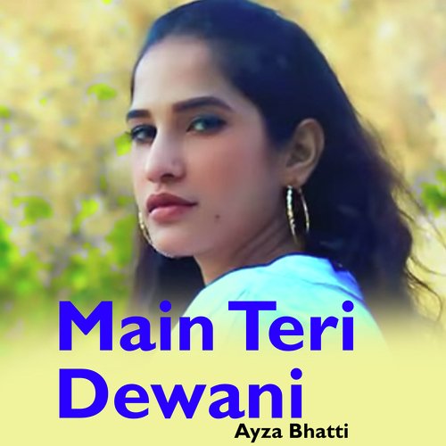 Main Teri Dewani