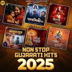 Non Stop Gujarati Hits 2025