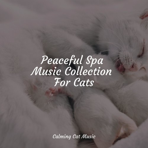 Lazy Morning cover art