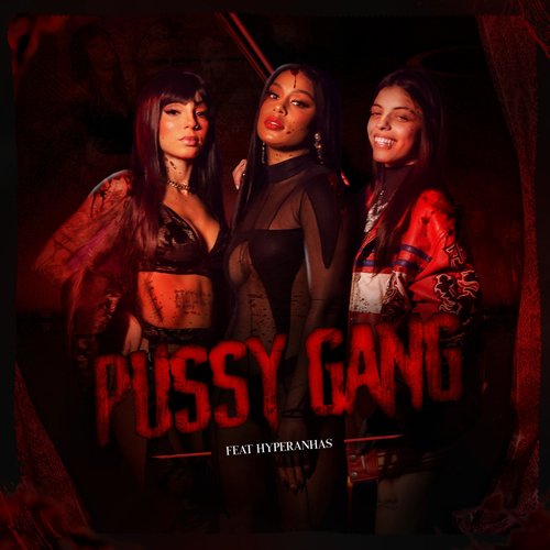 Pussy Gang_poster_image