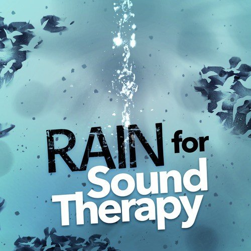 Rain for Sound Therapy