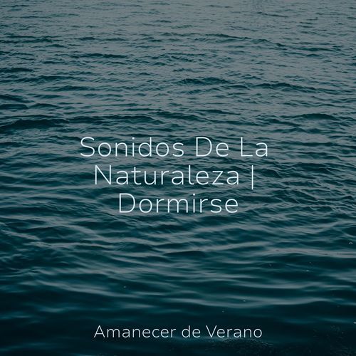 Sonidos De La Naturaleza | Dormirse