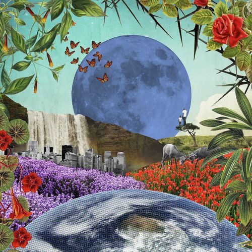 Culture of Love cover art