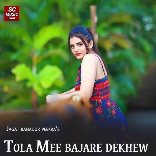 Tola Mee Bajare Dekhew