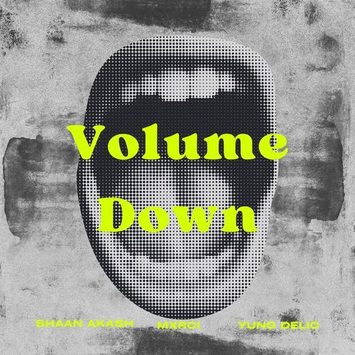 Volume Down