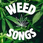 Because I Got High