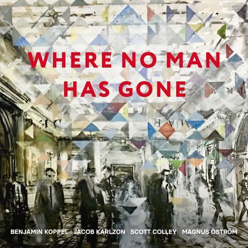 Where No Man Has Gone_poster_image