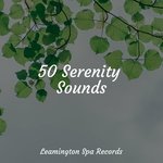 Sleep Music