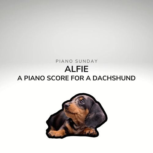 Alfie - a piano score for a dachshund