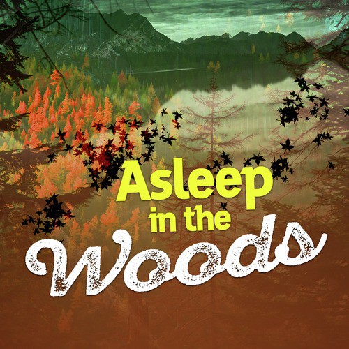 Asleep in the Woods_poster_image