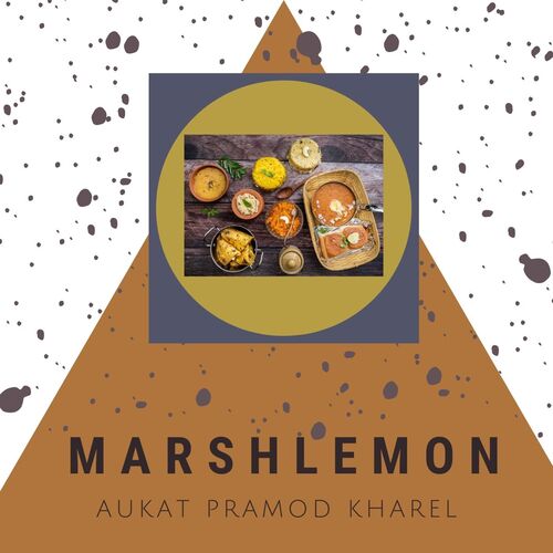 Aukat Pramod Kharel cover art