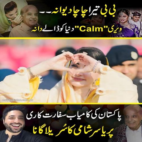 Bibi Tera Chacha Diwana