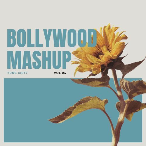 Bollywood Mashup Vol. 4